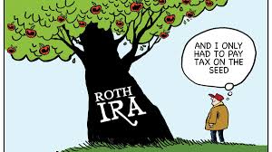 Roth IRA, why is my Roth IRA losing money?